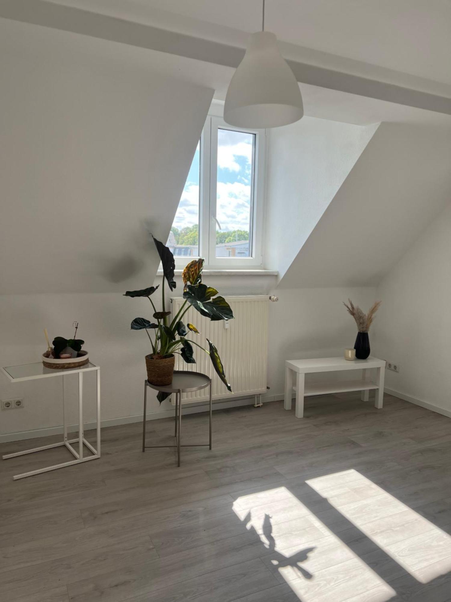 Cozy Work And Stay Pretty Home Chemnitz Exterior photo